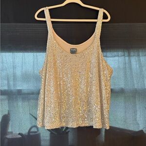 Arula Silver Sequin Women's Top